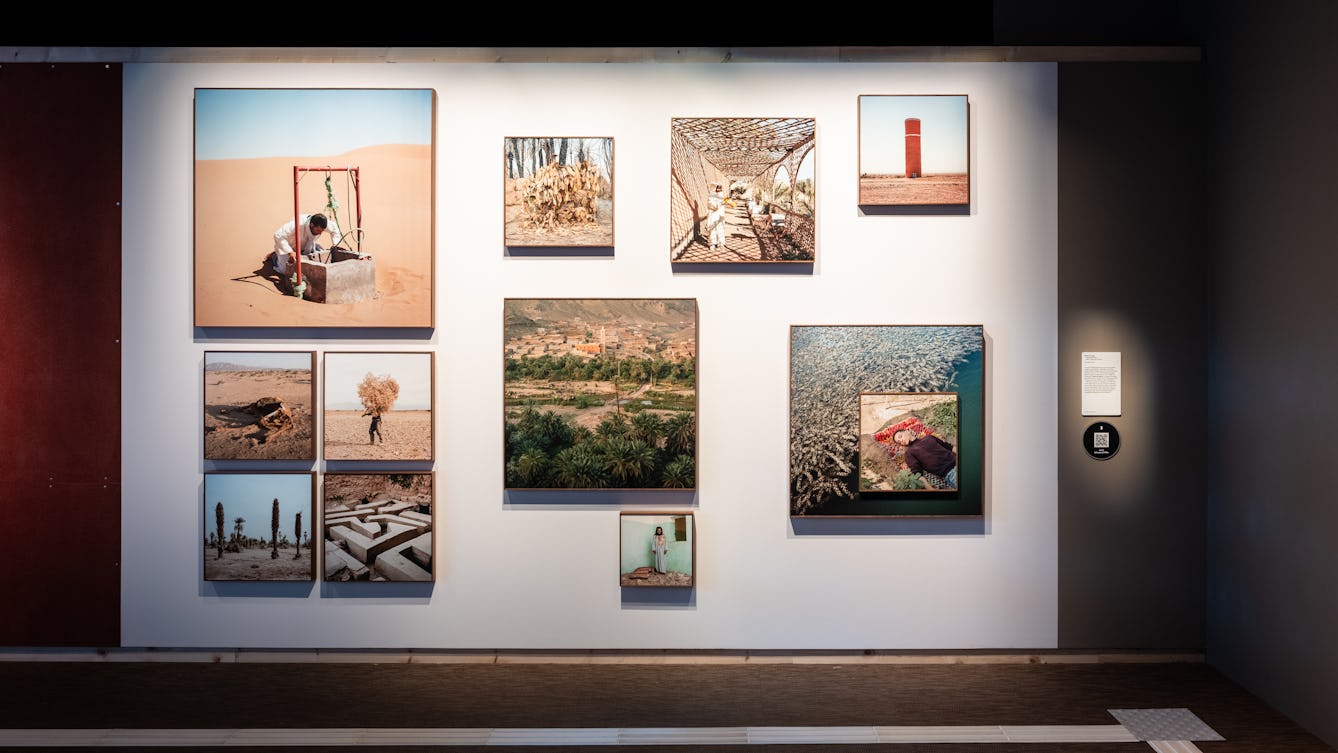 A cluster of 12 square photographs of varying sizes on a gallery wall. The images show a variety of scenes from a desert landscape environment.