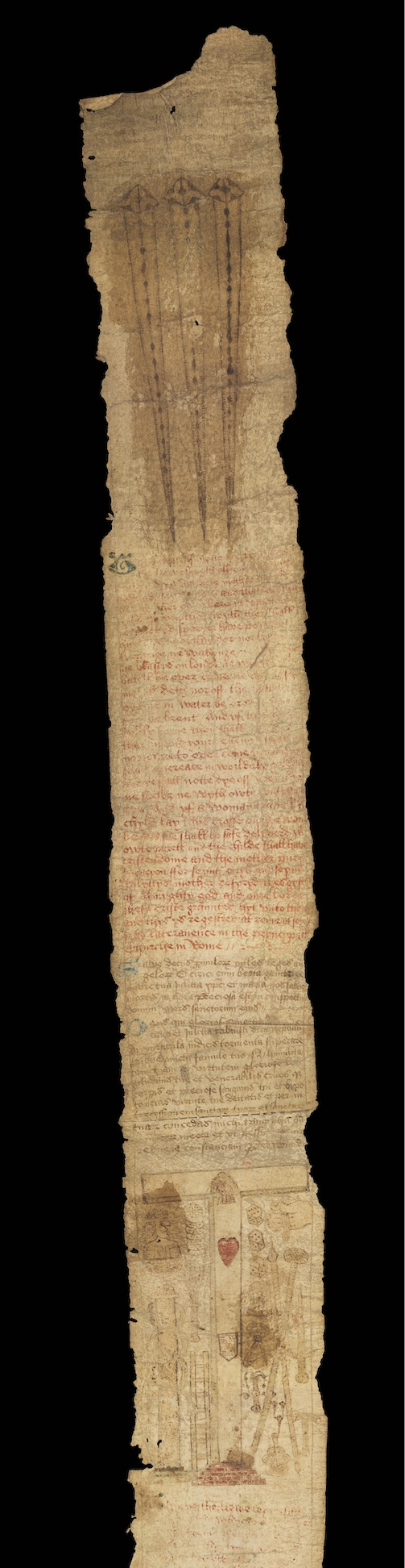 An unrolled medieval scroll made of parchment, with handwritten text and images. Wellcome Collection MS.632
