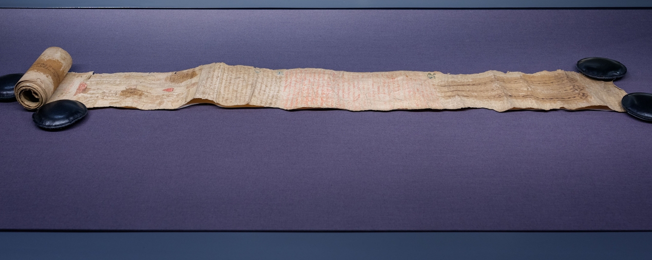 A 16th-century manuscript scroll, made of parchment is partially unrolled and held open by conservation weights at either end. Faded handwritten text and drawings on the parchment are visible.
