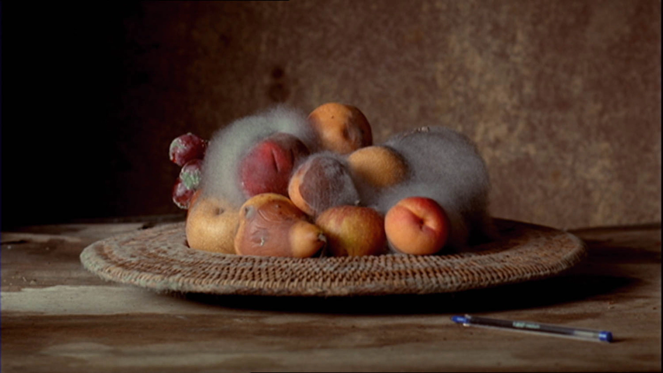 A woven platter holds a pile of assorted fruit, including pears, peaches, and grapes, all covered in thick, grey mould. The platter sits atop a rustic table, with a single blue pen placed beside it.
