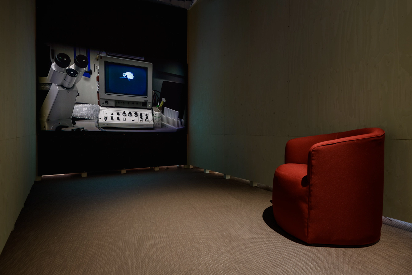 A dimly lit room with a red armchair facing a screen showing a microscope and a computer monitor.