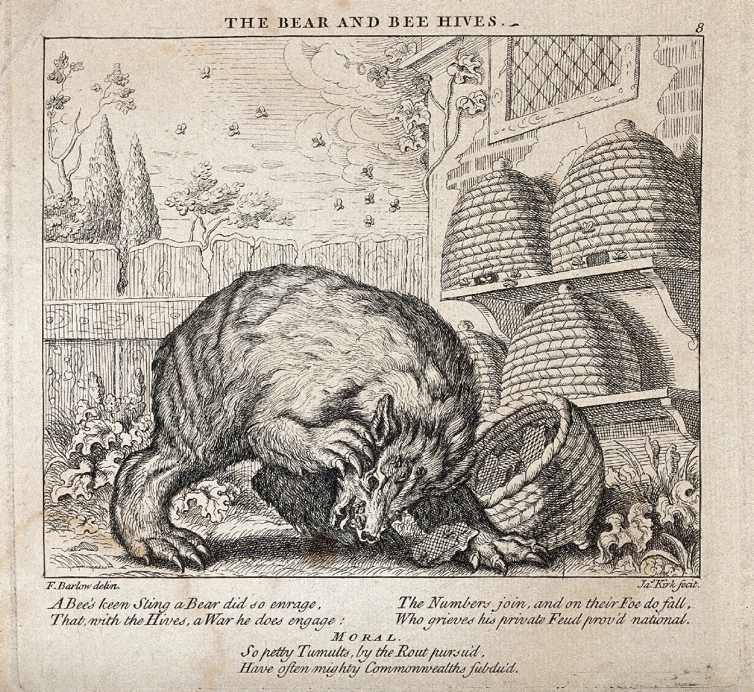 18th-century print in black ink showing Aesop's fable about the bear and the bees. A large bear is crouching near several wicker bee hives arranged on shelves against the side of a building. One of the hives has been overturned and bees fly around around the bear, attacking him as he scratches at his face. Beneath the image is some text in verse saying "A bee's keen sting a bear did so enrage, that with the hives, a war he does engage: The numbers join, and on their foe do fall, who grieves his private feud prov'd national. Moral. So petty tumults, by the rout pursu'd, have often mighty Commonwealths subdu'd"