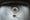 Photograph of a stainless steel kitchen sink, so close up that the sink fills the frame. In the centre is the plug hole with brown stains and a dark round squashed object. Next to the plughole is a teaspoon with a puddle of brown water in it. All over the surface of the sink are small patches of water.