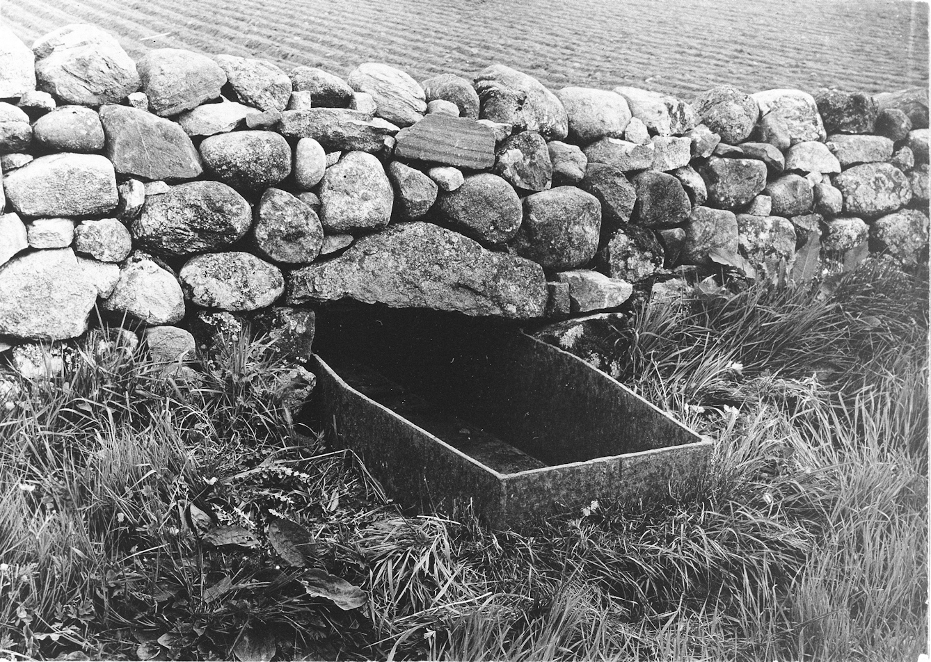 Mortsafe in graveyard at Durris, Aberdeenshire, used as a drinking trough for cattle