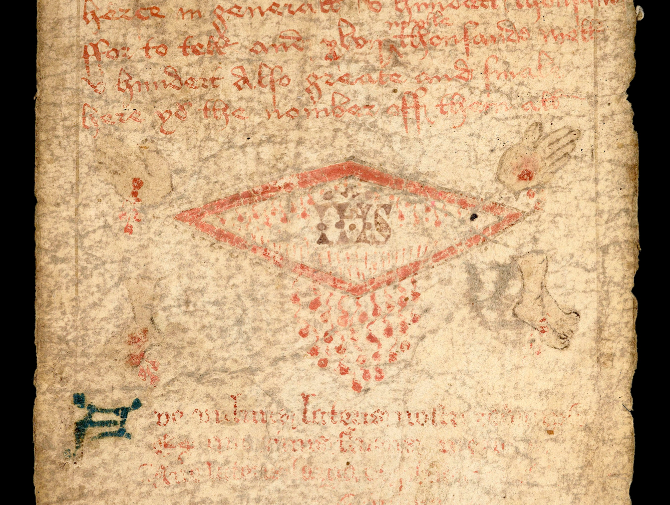 Section of a medieval parchment scroll showing a flattened diamond shape with drops of blood falling from the bottom apex. Outside the diamon in each corner Christ's stigmata on the hands and feet of are drawn. Inside the diamond are more drops fo blood and the letters IHS.