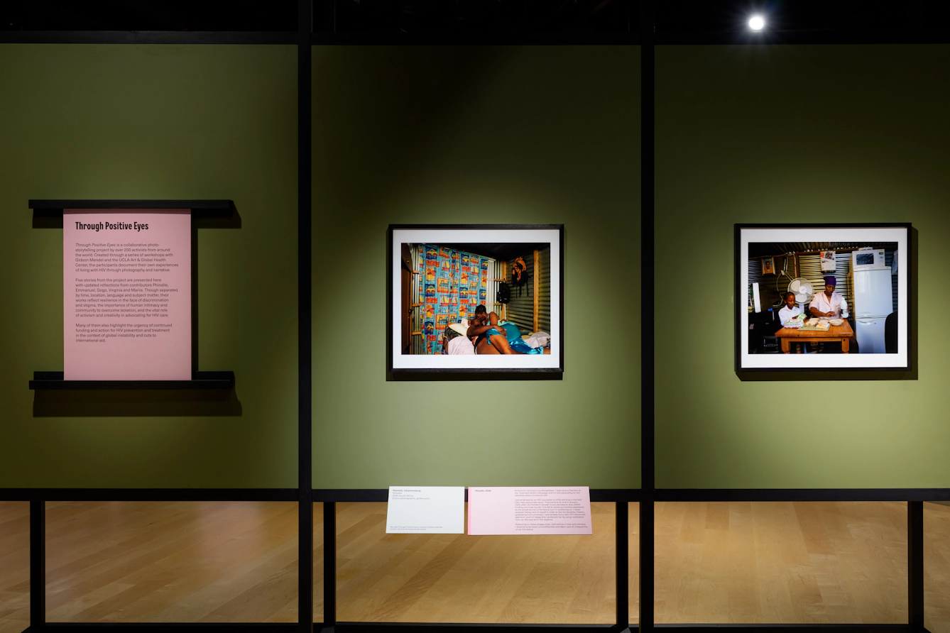 Photograph of a sage green freestanding gallery wall on which 2 colour photographs are hung in back frames. To the left is an information text panel. 