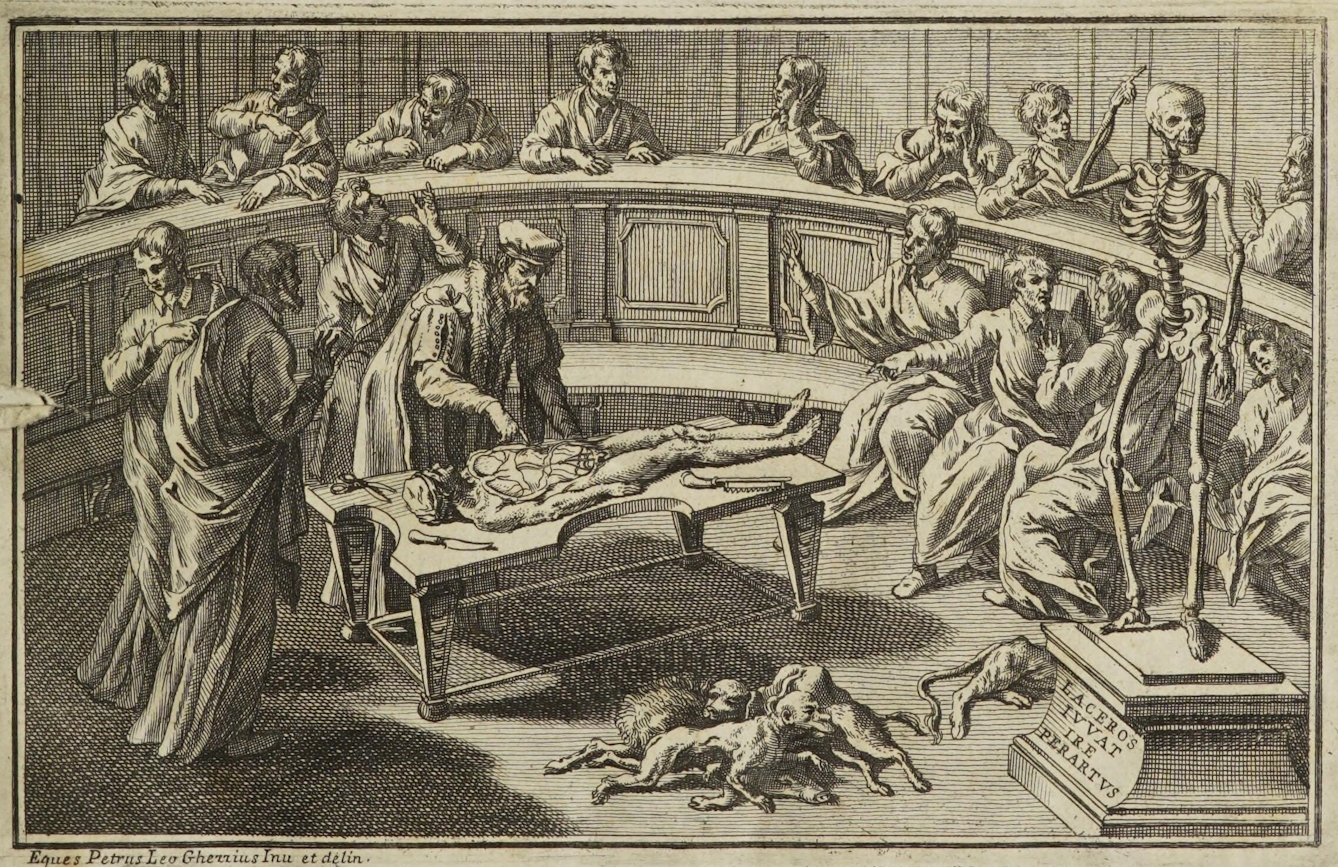 Black and white illustration of a dissection, showing a corpse on a table being cut open by a man wearing a hat and robes. There are dogs laying on the floor in front of the table and three people stood behind the anatomist, two of whom are recoiling in apparent disgust. In the semi-circular seating surrounding the table, people are shown watching and talking. A skeleton stands on a plinth to the right of the image. The plinth is engraved with the words "Laceros ivvat ire perartus", which appears to mean something like "go prepared". 