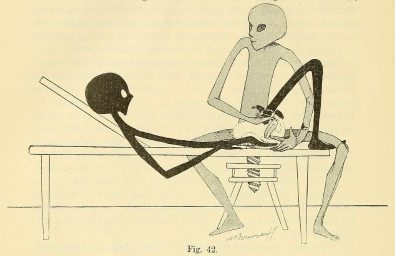 Black and white outline drawing of a person sitting on an adjustable stool whilst another person lies on a bed. The seated figure has one hand on the lower abdomen on the reclined figure, and their other hand is inserted inside the vagina.