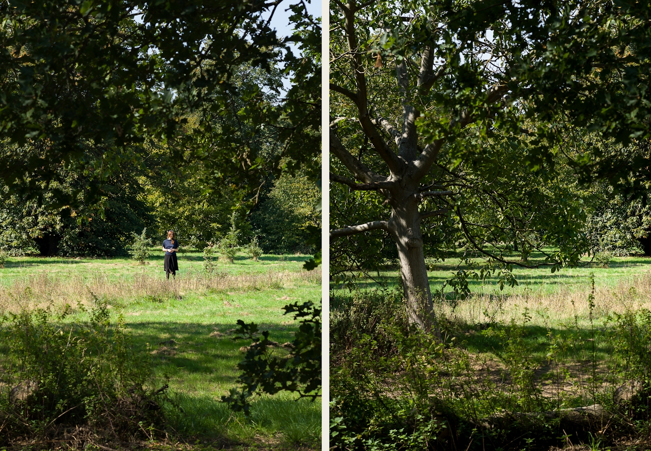 Photographic diptych. The image on the left shows a parkland scene in bright sunlight with the distant figure of a woman standing in the centre of the frame. She is surrounded by rough grassland. In the distance are large trees and in the foreground she is frames by the branches of more trees. The image on the right shows a wooded parkland scene made up of rough grassland and trees. The scene is in full sun, with some areas cast into dappled shade by the tree canopy.