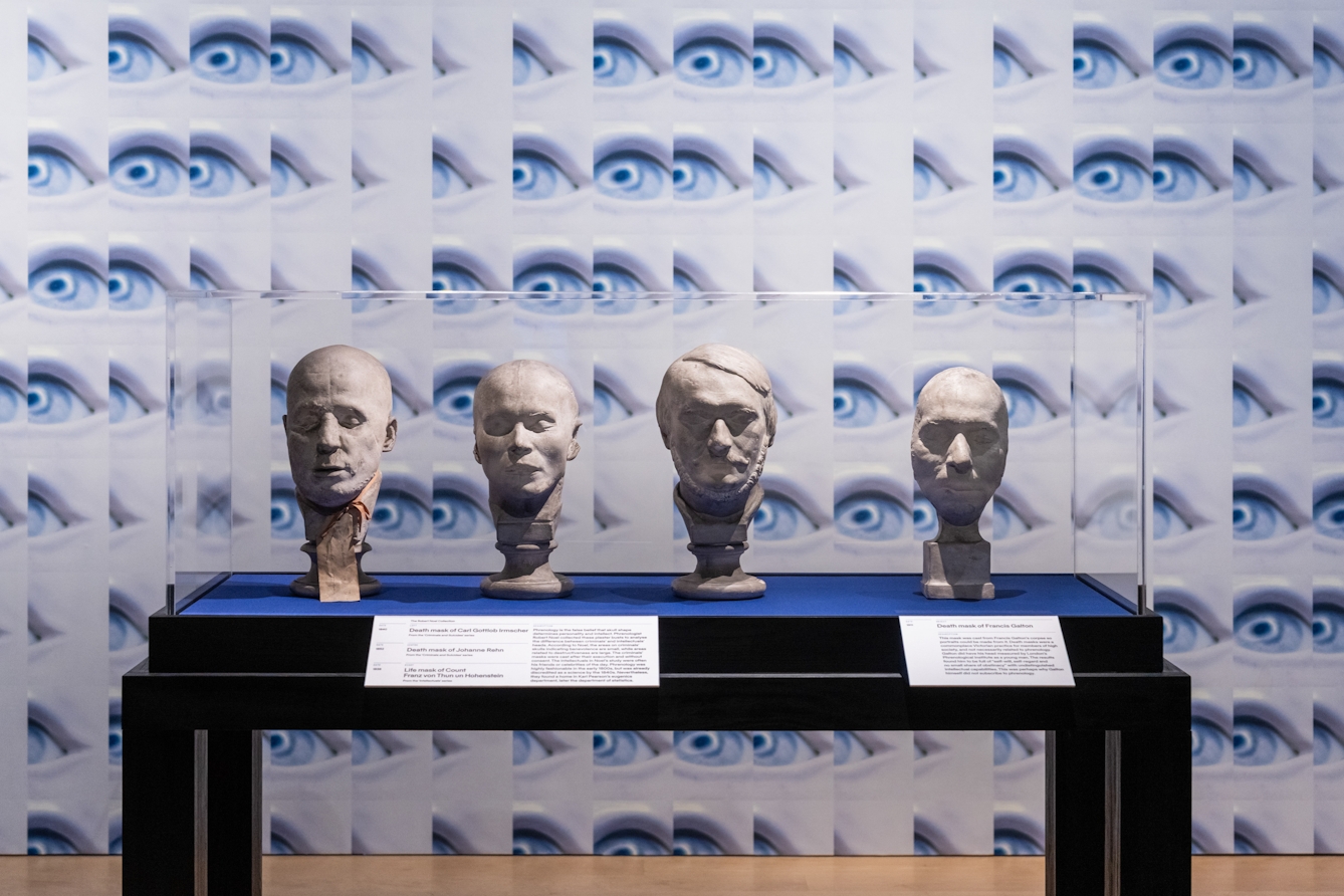 Photograph of an exhibition display case with transparent perspex sides and top, containing 4, three dimensional cast heads on plinths, sitting on a blue fabric base. Behind the case, on the wall is a repeating patterned wallpaper featuring an eye in varying degrees of fragmentation. The wall paper stretches from left to right and top to bottom filling the wall. In front of the case are 2 information panels.