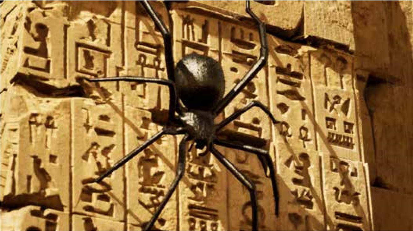 A huge black spider with round boddy and long spindly legs rest, face down against a sandstone wall covered in Egyptian hieroglyphs.