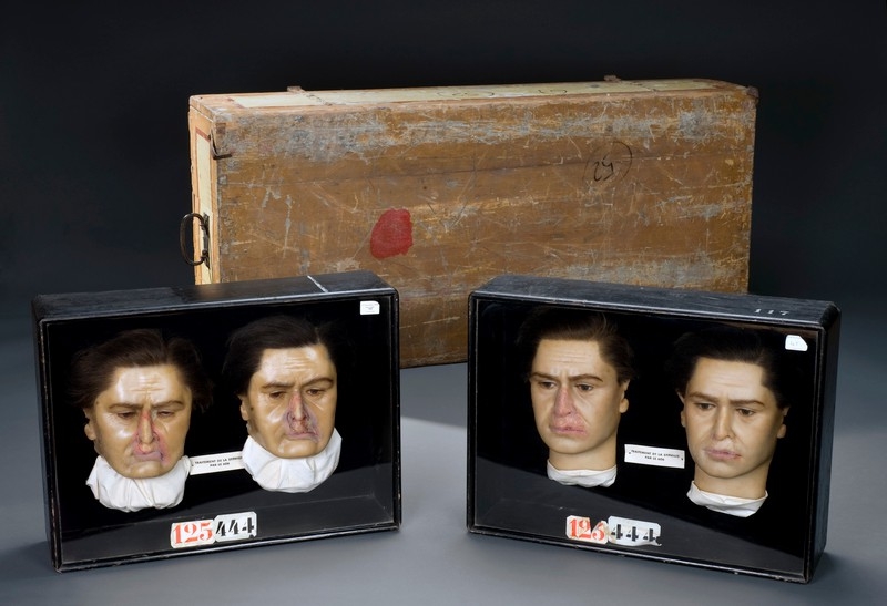 Image of four wax heads, two sharing each black box container.