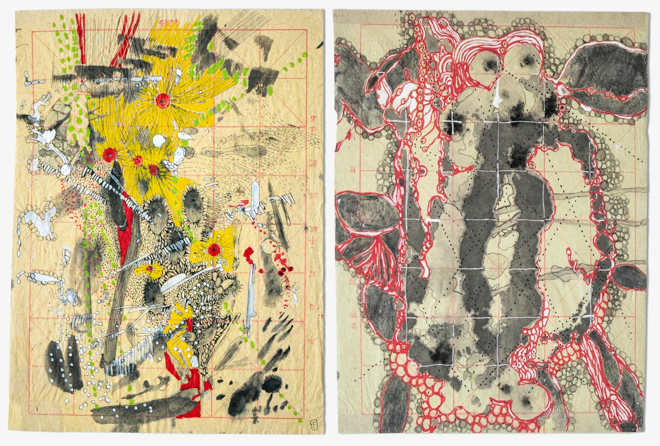 Photographic diptych of two abstract drawings on pink gridded Chinese calligraphy paper that is slightly crumpled and folded. On the left is an abstract collection of disconnected shapes of different sizes, including several red circles with a black dot in the center and faint thin grey lines extending from them, grey-black fingerprint-shaped splodges with small hollow black circles surrounding them, and white splodges in different shapes. Thick yellow ink is placed at different points within the abstract mass of shapes. There are small lines lime green dots and tiny white dots with a navy outline. On the right are a collection of faded, grey and black splodges with a sharp bright red and white ink outline connecting the isolated splodges into an abstract structure. Surrounding the larger grey splodges' red and white outline are smaller circles either filled in grey or left hollow. Much of the red grid of the paper has been drawn over with think white lines. 