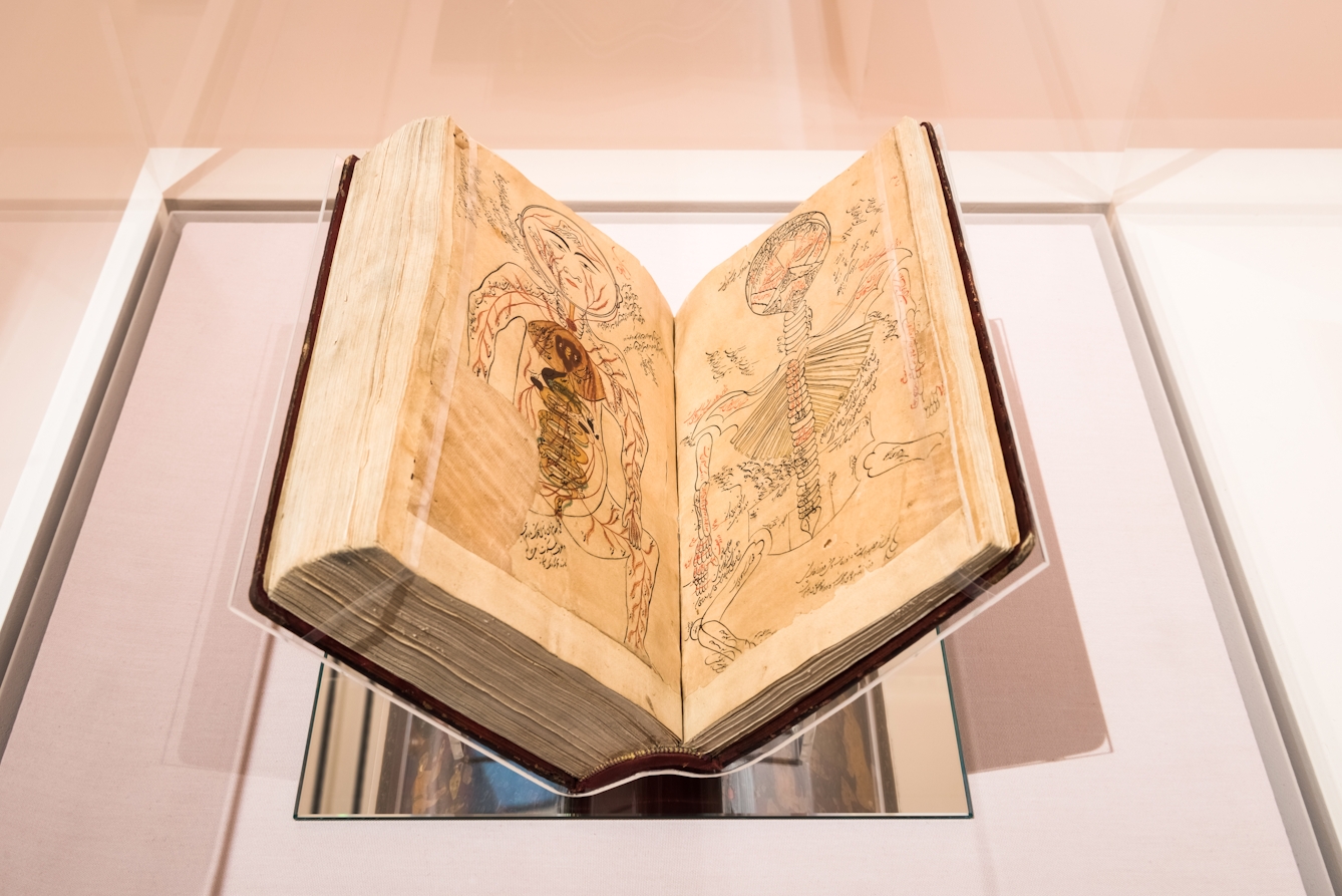 Photograph of an exhibition glass display case showing an old, thick open manuscript, held in a book cradle. The open double page spread shows annotated diagrams of a human form, one on each page.