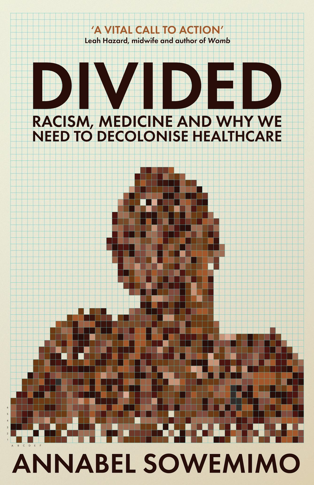 The front cover of the book 'Divided' by Annabel Sowemimo