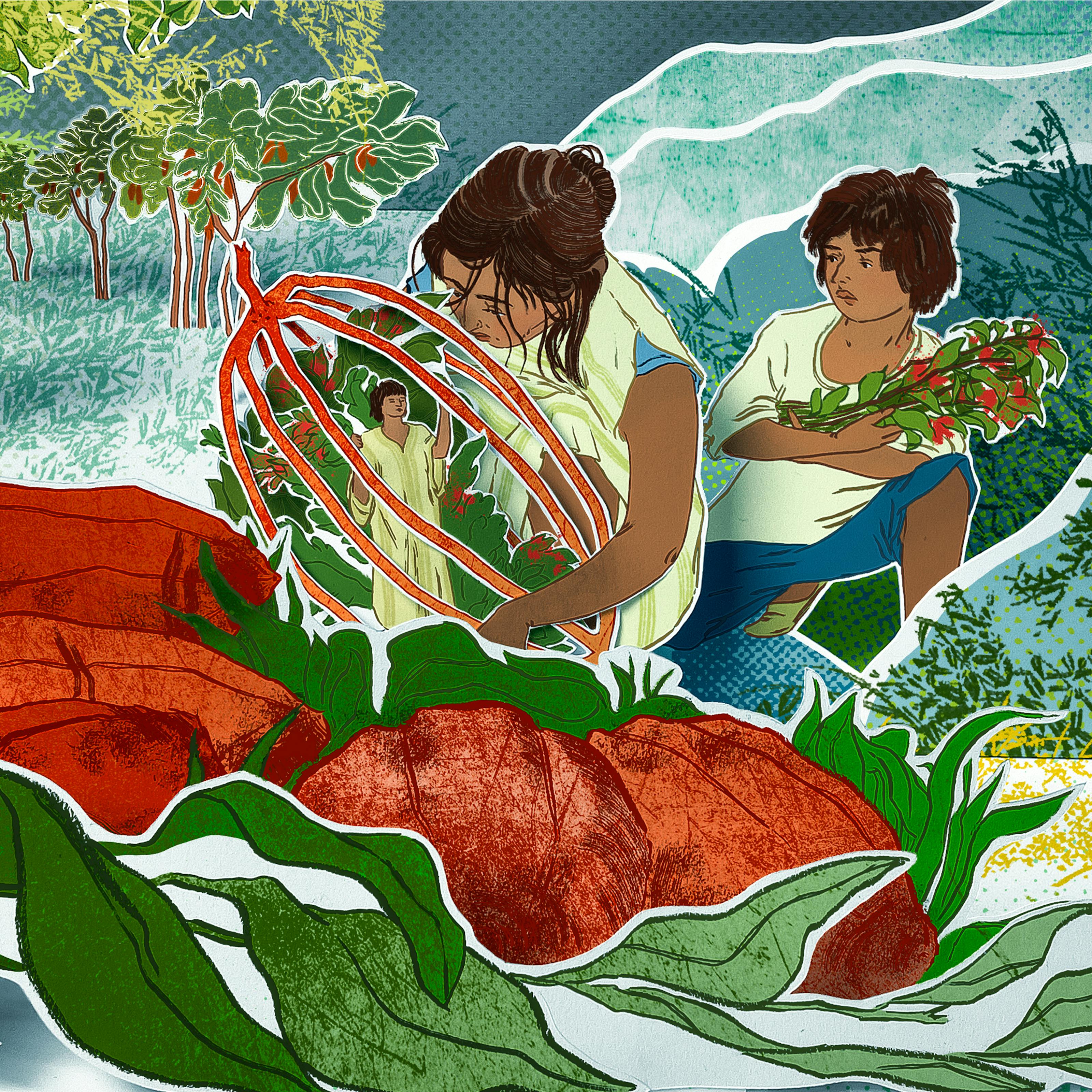 Photograph of a papercut 3D artwork. Two brunette children, possibly siblings, are shown dressed in simple white and blue clothing and are crouching down amongst different coloured shrubs, plants and trees. The girl, who appears older than the boy, is holding an abstract, cocoa bean-shaped hollow red structure. Inside it is a miniature brunette male wearing yellow robes, and some red and green shrubbery. He is looking upwards towards the girl with his hand outstretched. The younger boy, holding some harvested red and green plant, watches from in wonderment. 