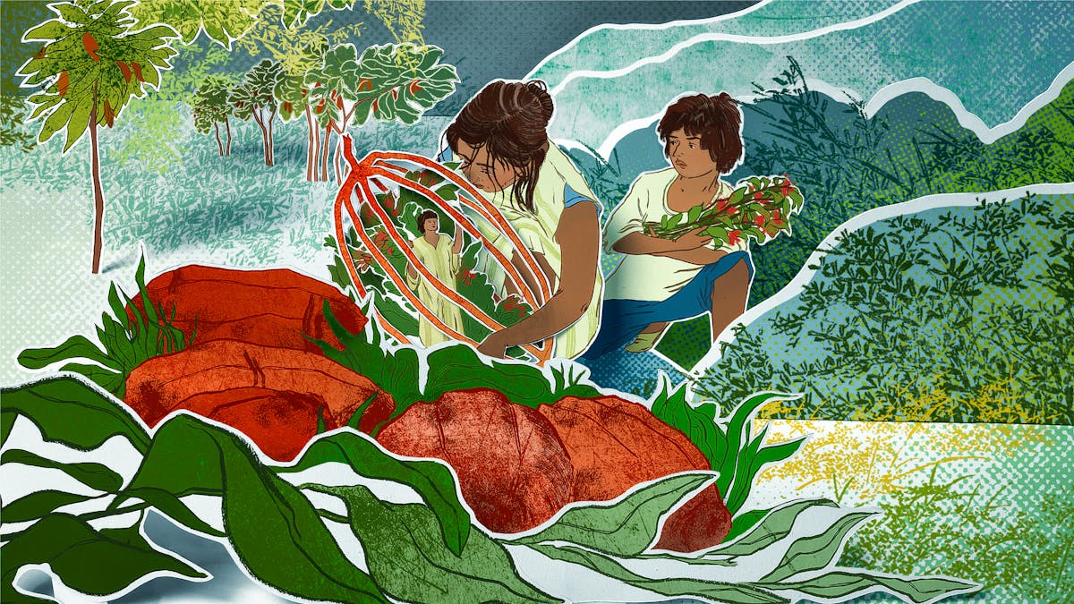 Photograph of a papercut 3D artwork. Two brunette children, possibly siblings, are shown dressed in simple white and blue clothing and are crouching down amongst different coloured shrubs, plants and trees. The girl, who appears older than the boy, is holding an abstract, cocoa bean-shaped hollow red structure. Inside it is a miniature brunette male wearing yellow robes, and some red and green shrubbery. He is looking upwards towards the girl with his hand outstretched. The younger boy, holding some harvested red and green plant, watches from in wonderment. 