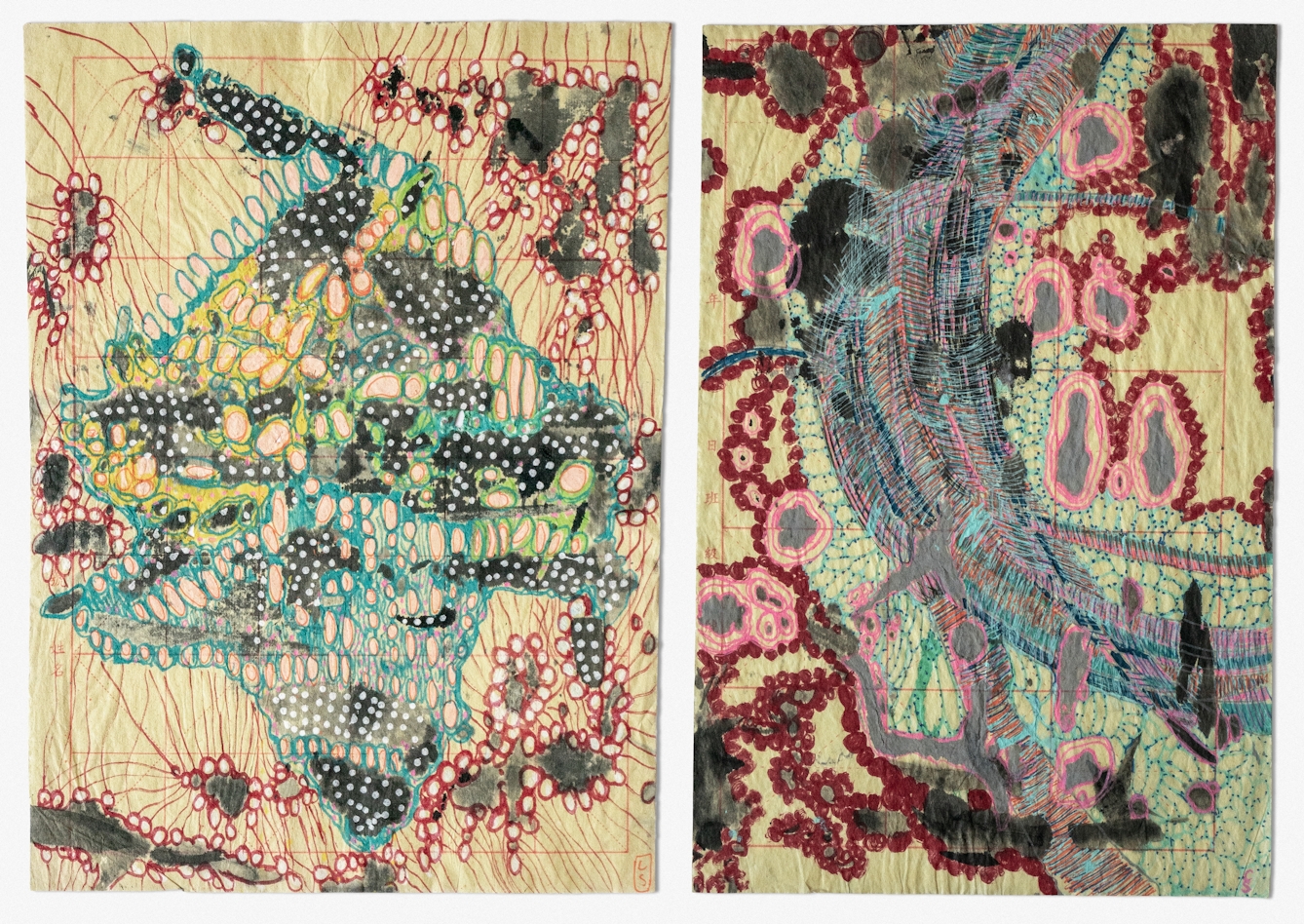 Photographic diptych of two abstract drawings on pink gridded Chinese calligraphy paper that is slightly crumpled and folded. On the left is an abstract mass of densely packed hollow circles, the majority with a blue outline but a number with a yellow or green outline. Contained within the mass of circles, and connecting the circles into a single mass, are a number of dark, black ink splodes filled with white dots. Lots of thin, crimson lines are extending from the central shape, and leading to smaller abstract masses comprised of grey-black inky splodges surrounded by small crimson circles. The crimson lines extend from these shapes and off the page. On the right is a large arched shape extending through the page from top to bottom comprised of tiny etching marks or brushstrokes in black, blue and pink. Surrounding the central shape are a number of grey, cell like splodges which a number of pink lines bordering it, with these pink lines surrounded by small crimson dots. There are tiny blue lines dotted with navy or black ink connecting the central shape with the grey cell like splodges. 