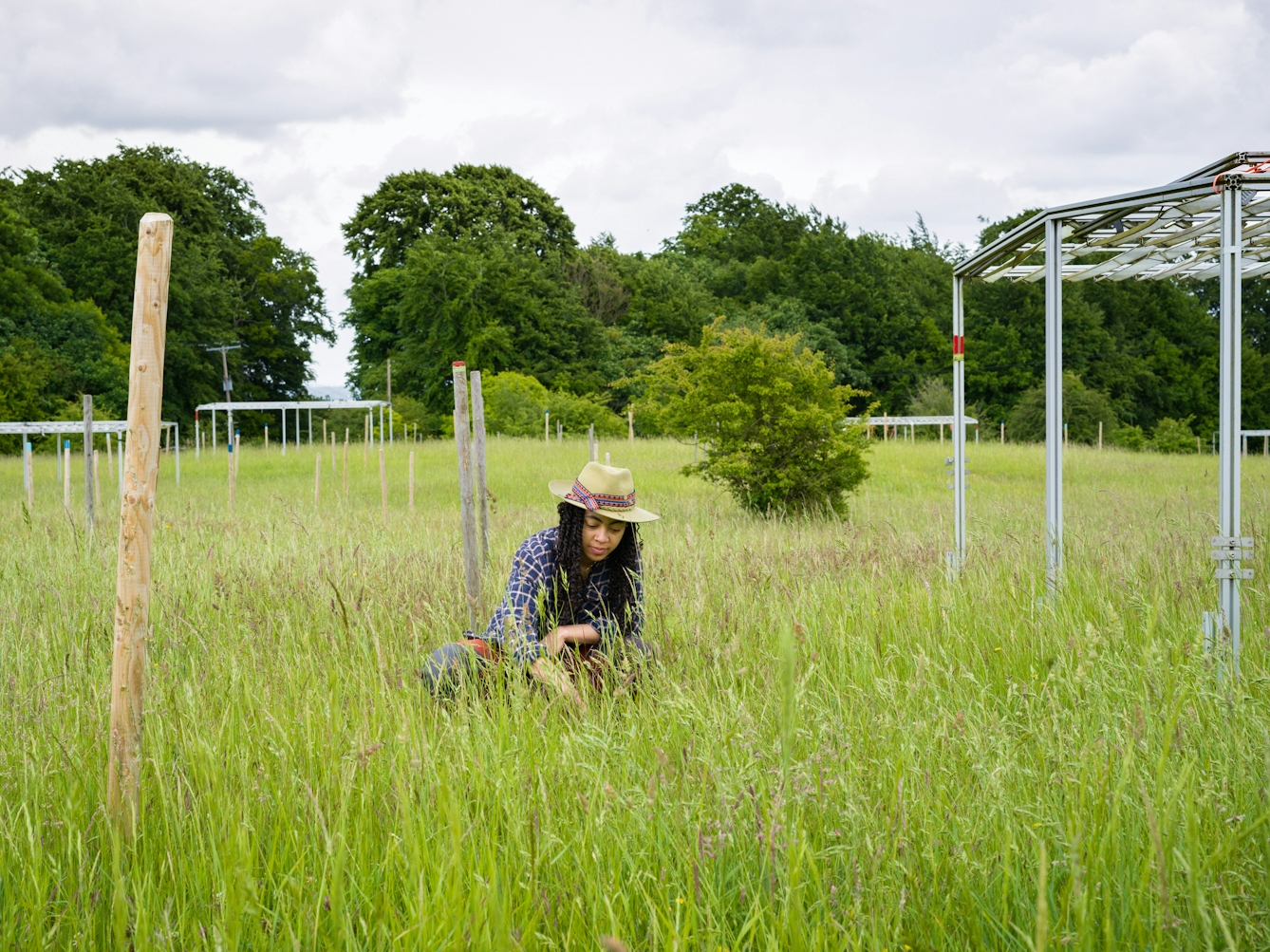 Colour photograph of a young woman wearing a brimmed hat and checked blue shirt crouching down in a wild grassland meadow. She is looking down into the grasses. Behind her  is a tree lined border with a series of man made metal and wooden framed structures.