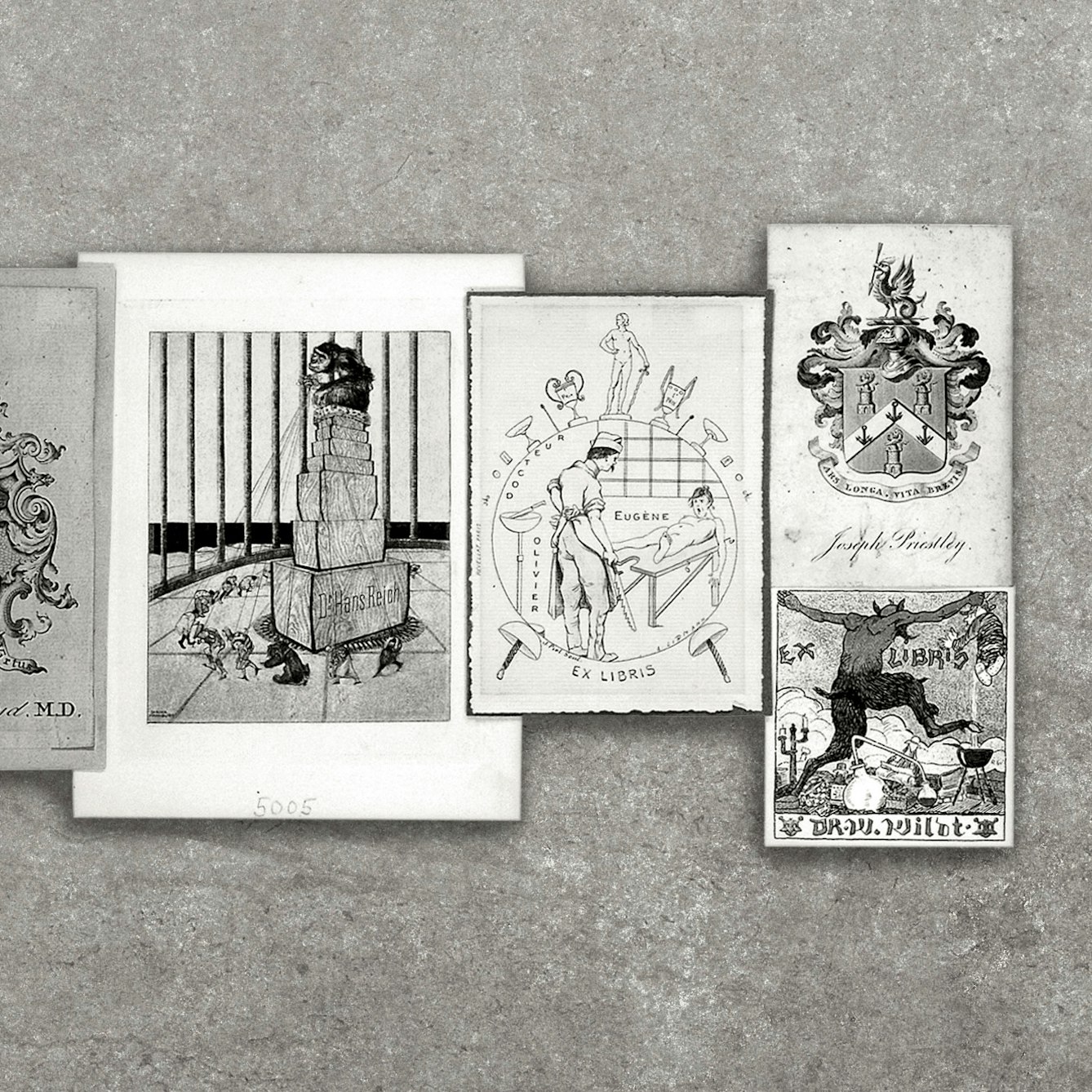 A selection of English, French, and German bookplates.  The pictures on the bookplates include coats of arms, surgery being performed, and a devil trampling on chemistry equipment. the group of bookplates have been photographed against a grey concrete textured background.