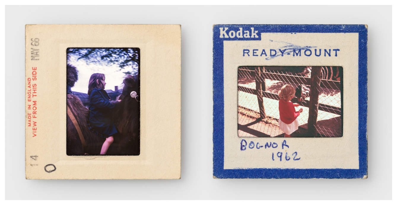 Photograph of two colour 35mm transparencies side by side, each mounted in a cardboard side holder, resting on a white background. The transparency on the left shows a young girl sitting on the back of a camel. The slide mount has the words 'made in England. View from this side. May 66' printed on it. The transparency on the right shows the same young girl in a pink dress and red cardigan stood next to a zoo enclosure fence, with a zebra on the other side trying to lick her hand. The slide mount has a blue border around the edge with Kodak Ready-mount printed on it. A hand written note on the mount reads, "Bognor 1962".