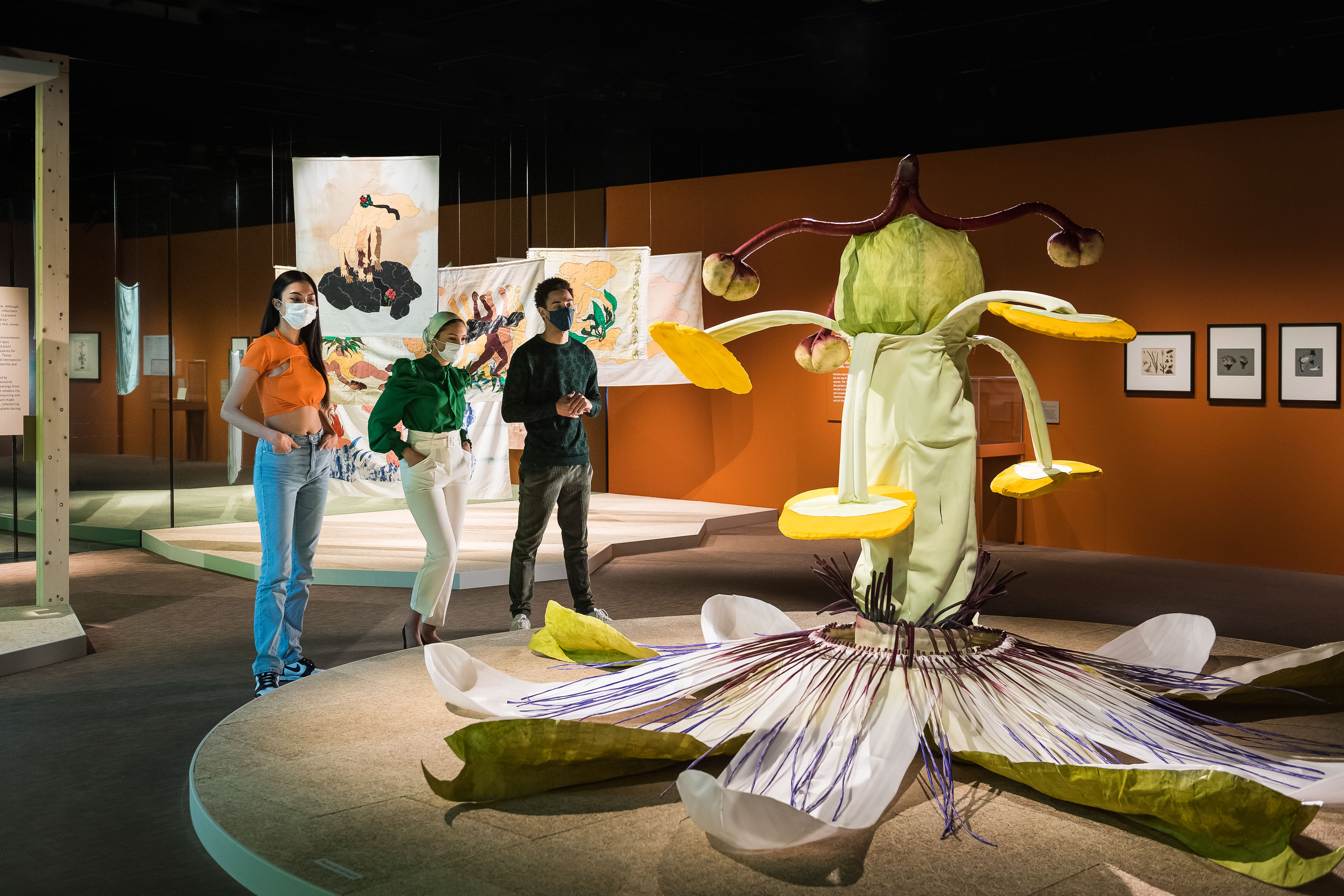 Three exhibition visitors wearing masks look at an installation representing a passion flower. In the background are hanging fabric artworks and framed botanical drawings.  