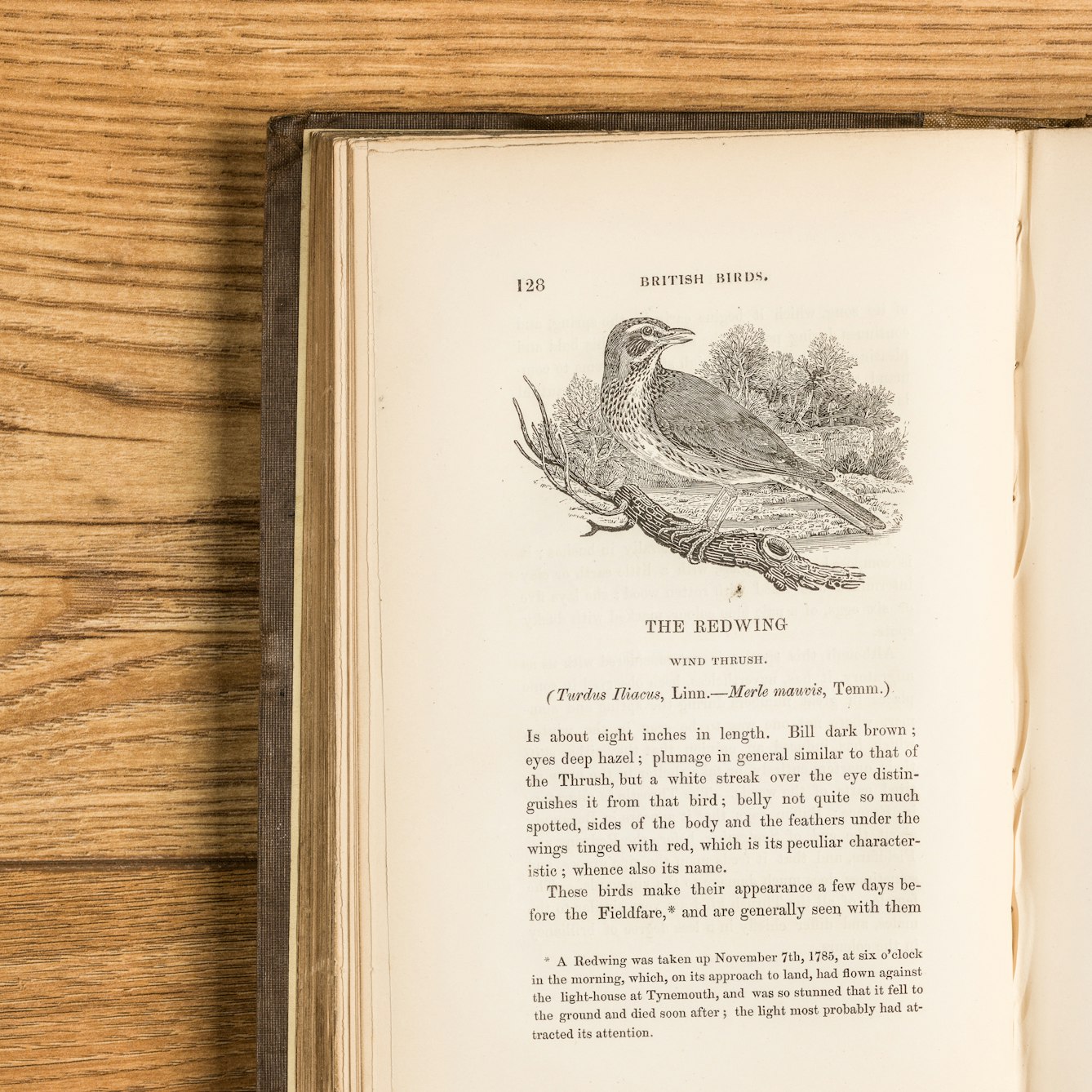 Photograph of the left hand page of an open book on a wooden surface. The left hand page shows an engraving of a Redwing bird in a woodland scene. Below the engraving is a descriptive text about the bird.