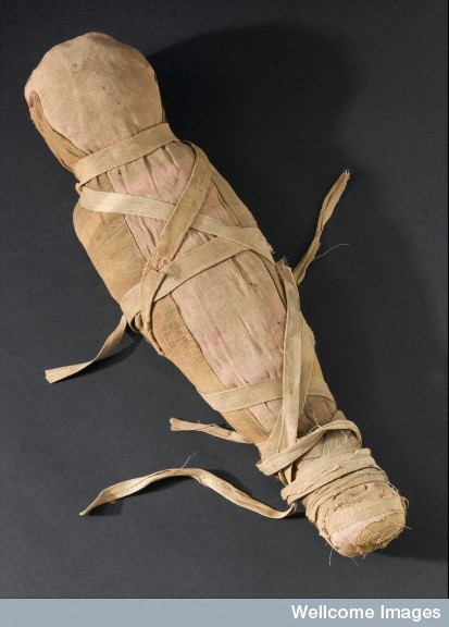 Photograph of a mummified infant. Top three quarter view. Black background.