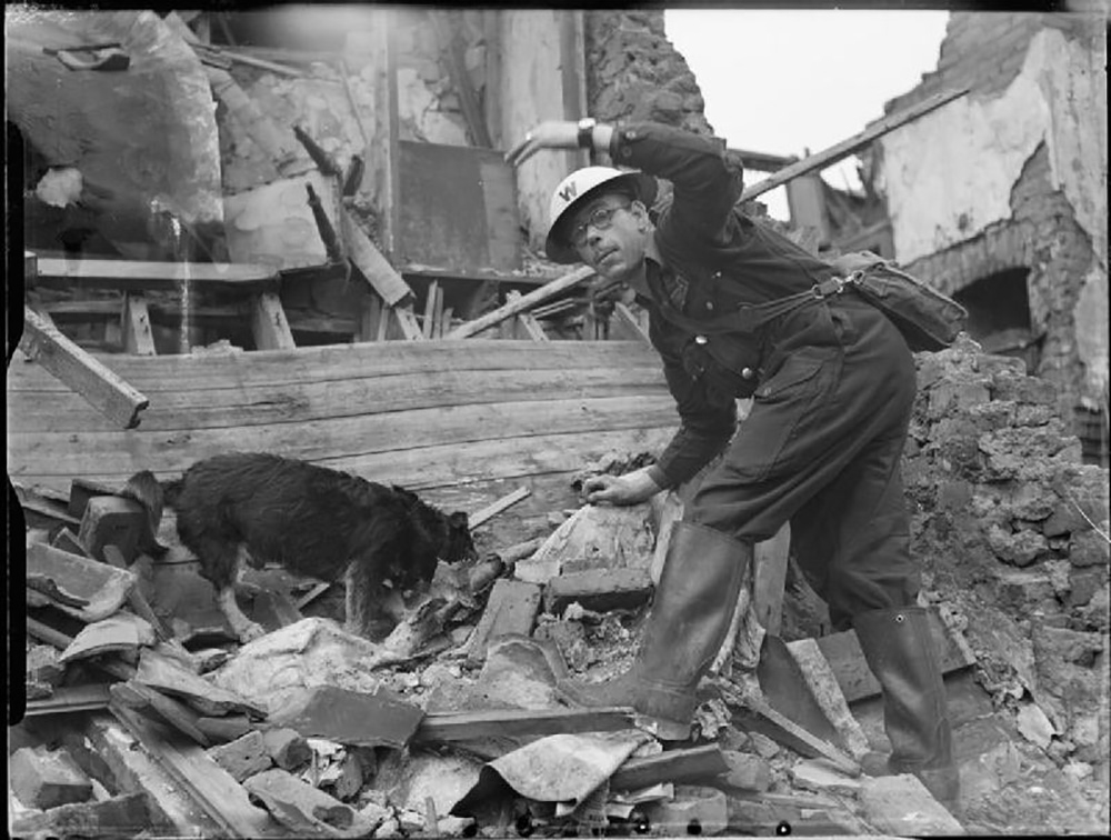 A black and white picture of a man and a dog searching through rubble.