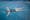 Photograph a woman in a swimming costume floating in water, superimposed on an image of an agricultural field.