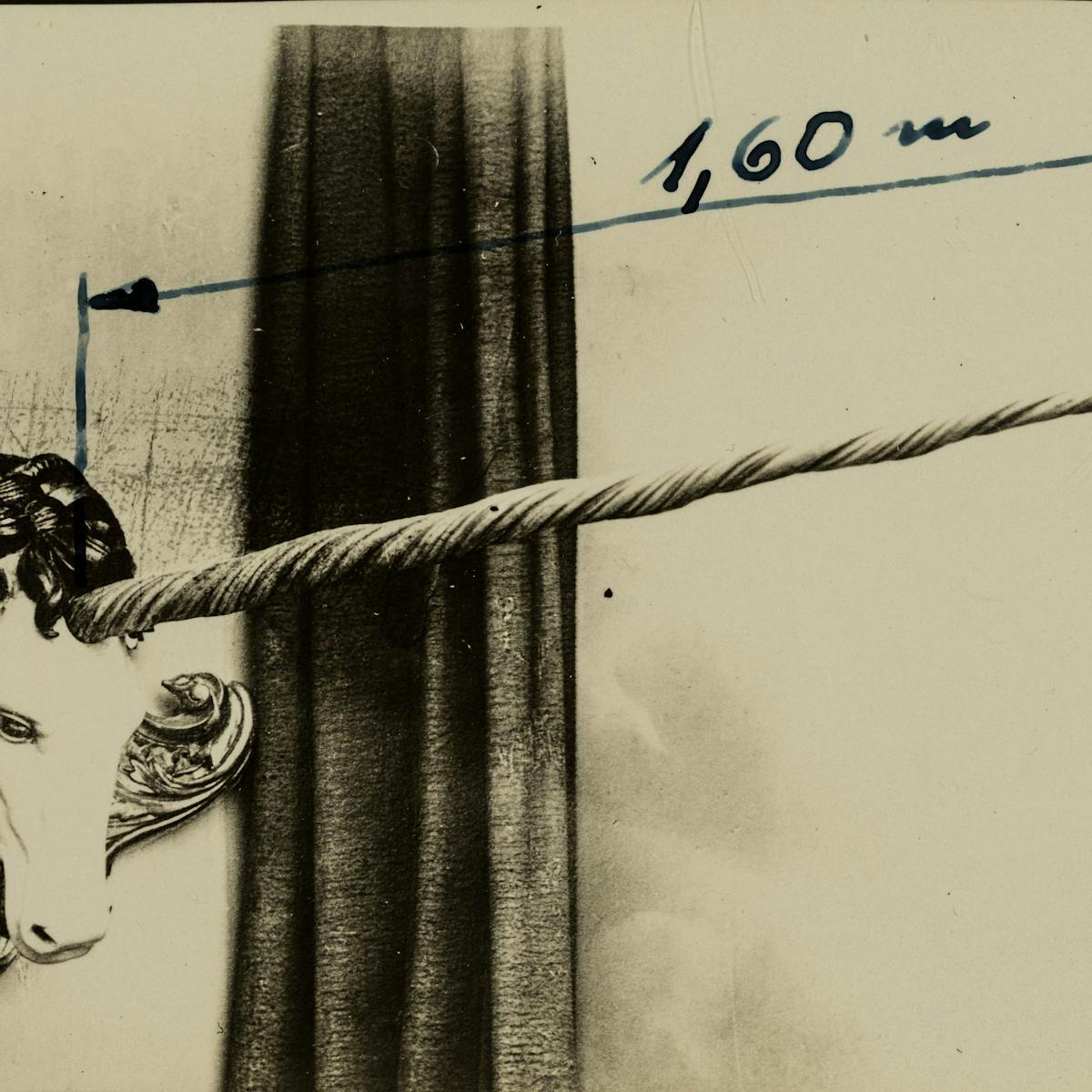 Photograph of a mounted unicorn head with measurement of horn at 1.60m