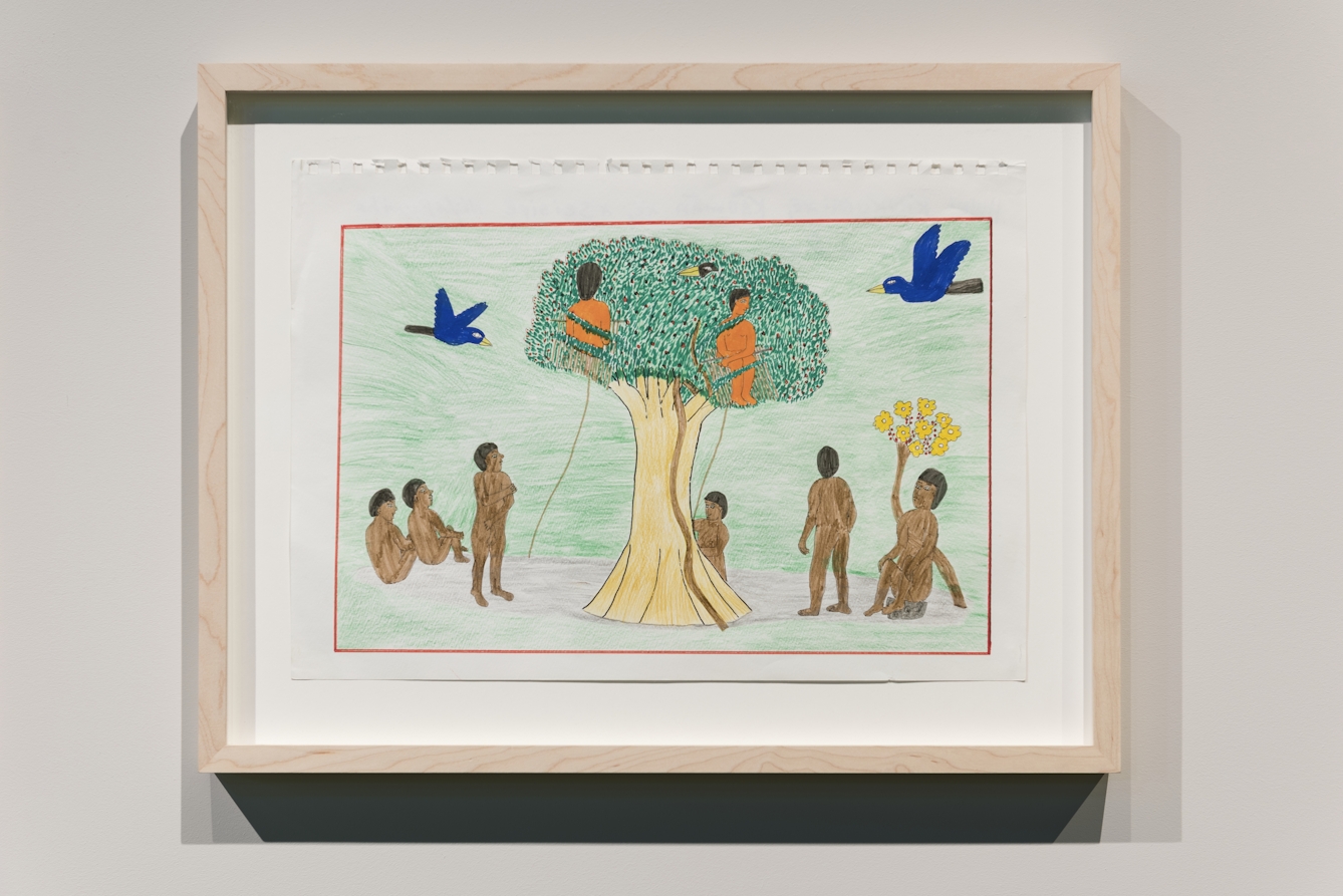 Photograph of a framed pencil drawing showing shamanistic plant spirits and a tree from the Brazilian Amazon.