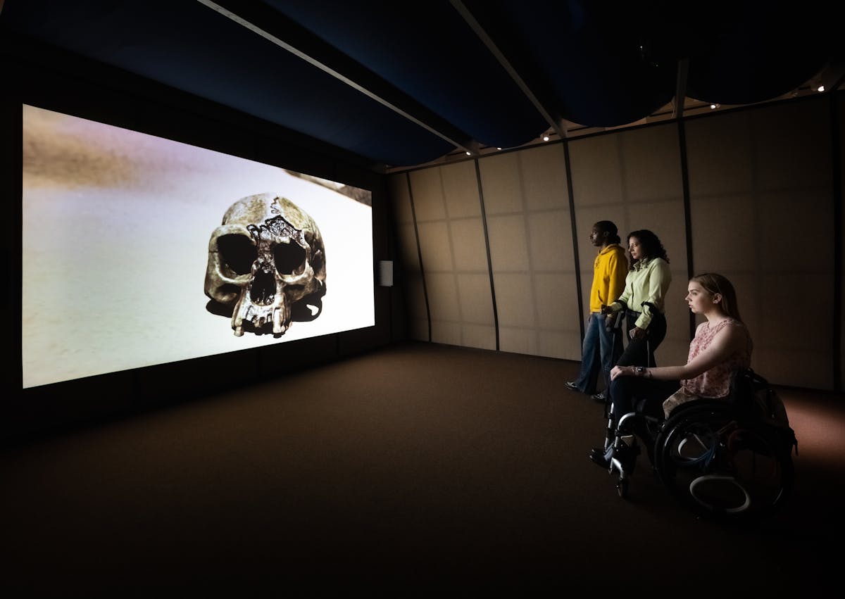 Photograph of a dark exhibition space featuring a projected video on a large screen. The walls of the room slope inwards and are criss-cross of black wooden battens on grey fabric. The ceiling is a blue cloth draped over several cross joists. To the left the video shows a computer generated image of a sandy shoreline on which a large human skull sits, bathed in sunlight. To the right 3 visitors watch the film. Closest to the camera is a young woman seated in a wheelchair, her hand resting on her knee. Stood next to her is a woman in a green shirt who is using crutches. At the far end stands an individual in a yellow hooded top and blue jeans. 