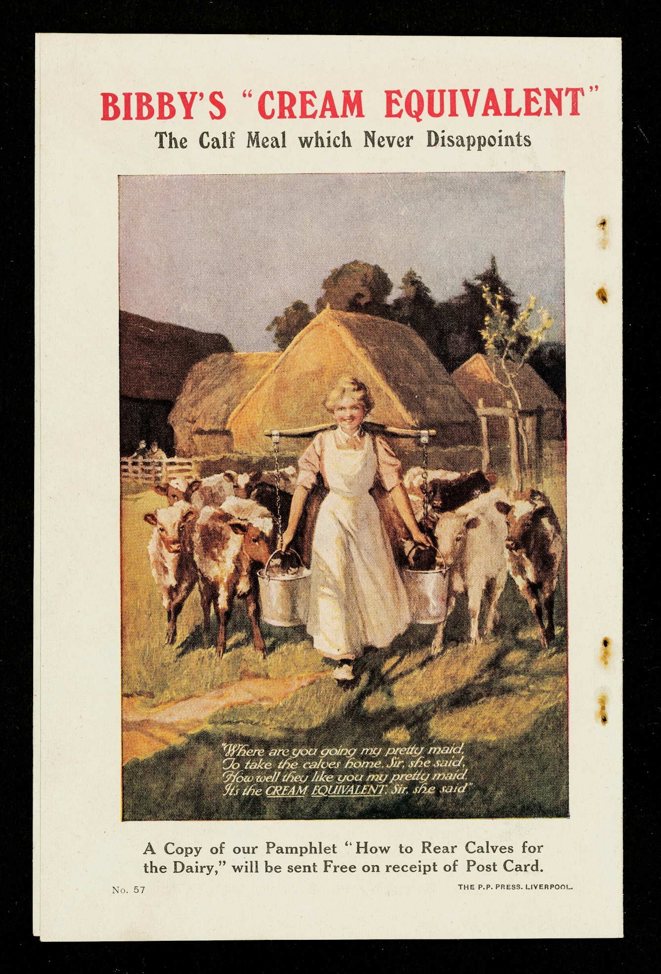 Colour illustration from a magazine showing a cheerful blond milkmaid in a full-length white apron and short-sleeved pink dress bearing 2 buckets on a yoke across her shoulders, followed by a herd of calves, with 3 haystacks and a barn behind them, advertising Bibby's "Cream Equivalent". Text reads "Where are you going my pretty maid, To take the calves home sir, she said, How well they like you my pretty maid, It's the cream equivalent, sir, she said."