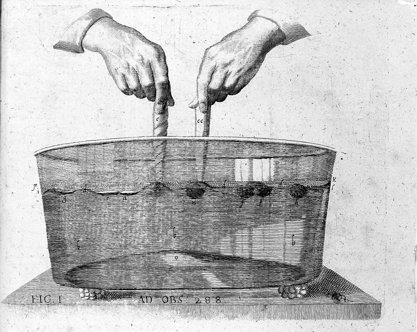 Engraving of hands holding two horns, one spiralling like a unicorn horn, in a tub of liquid.