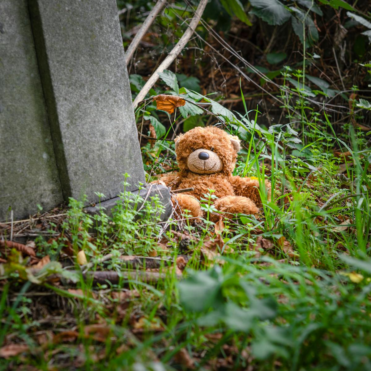 Photograph of small teddy bear sitting within the surroundings of a cemetery, with grave stones and ivy.