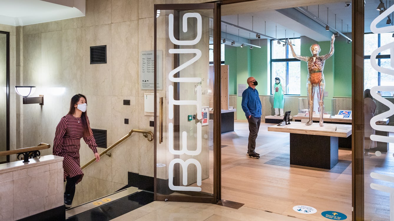 Photograph of a stairway and entrance to a museum gallery space. On the open entrance doors are written 'Being Human'. Walking up the stairs is a woman wearing a face covering. Through the entrance doors the exhibits in the gallery can be seen, including a large transparent human figure, stood on a tabletop. Looking at this exhibit is man wearing a blue shirt and a face covering. In the far distance are the windows through which daylight is streaming.