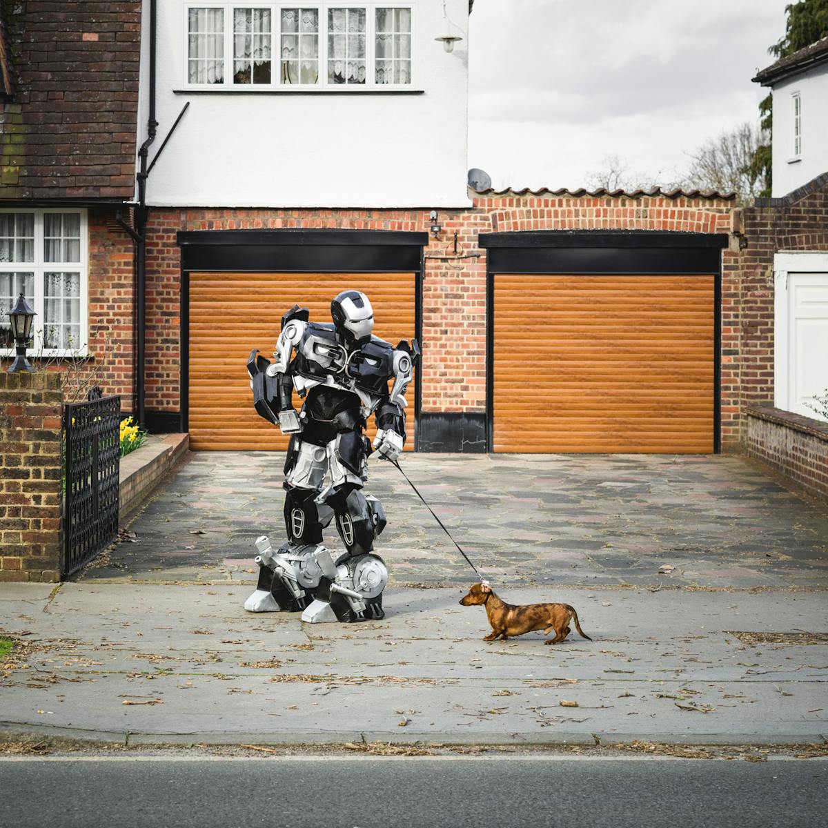 Photograph of a robot holding a small dog on a lead, standing on a typical suburban pavement in front of a house.
