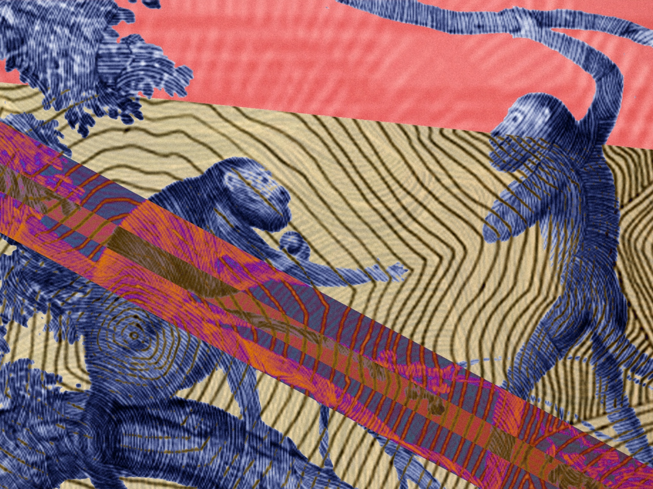 Detail from a larger abstract digital illustration depicting extramission and intromission. A pregnant woman is looking at a group of monkeys sitting on tree branches while the animals are emitting a rays of light towards her unborn child.