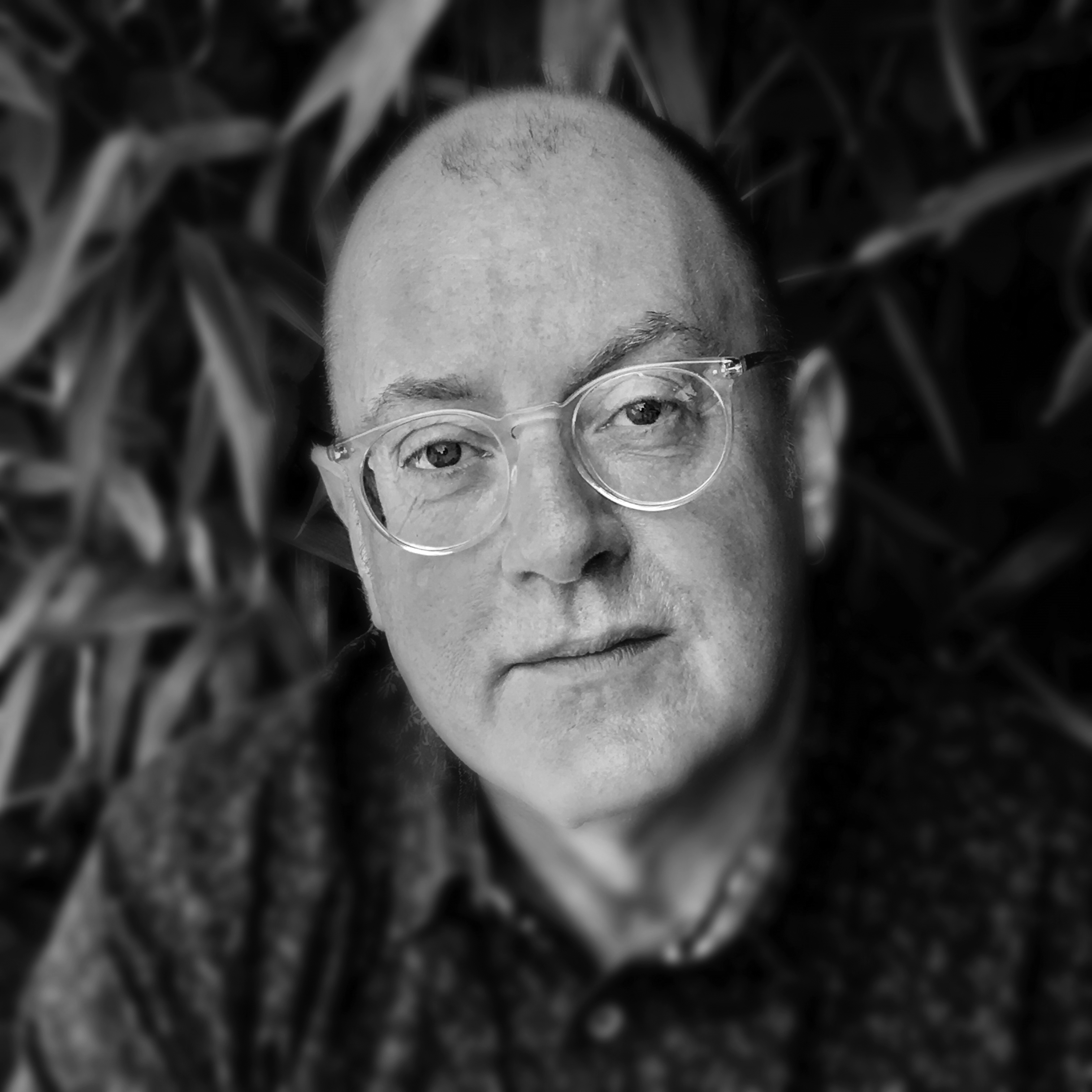 A photograph of the head and shoulders of a man wearing transparent-rimmed glasses and looking at the camera. 