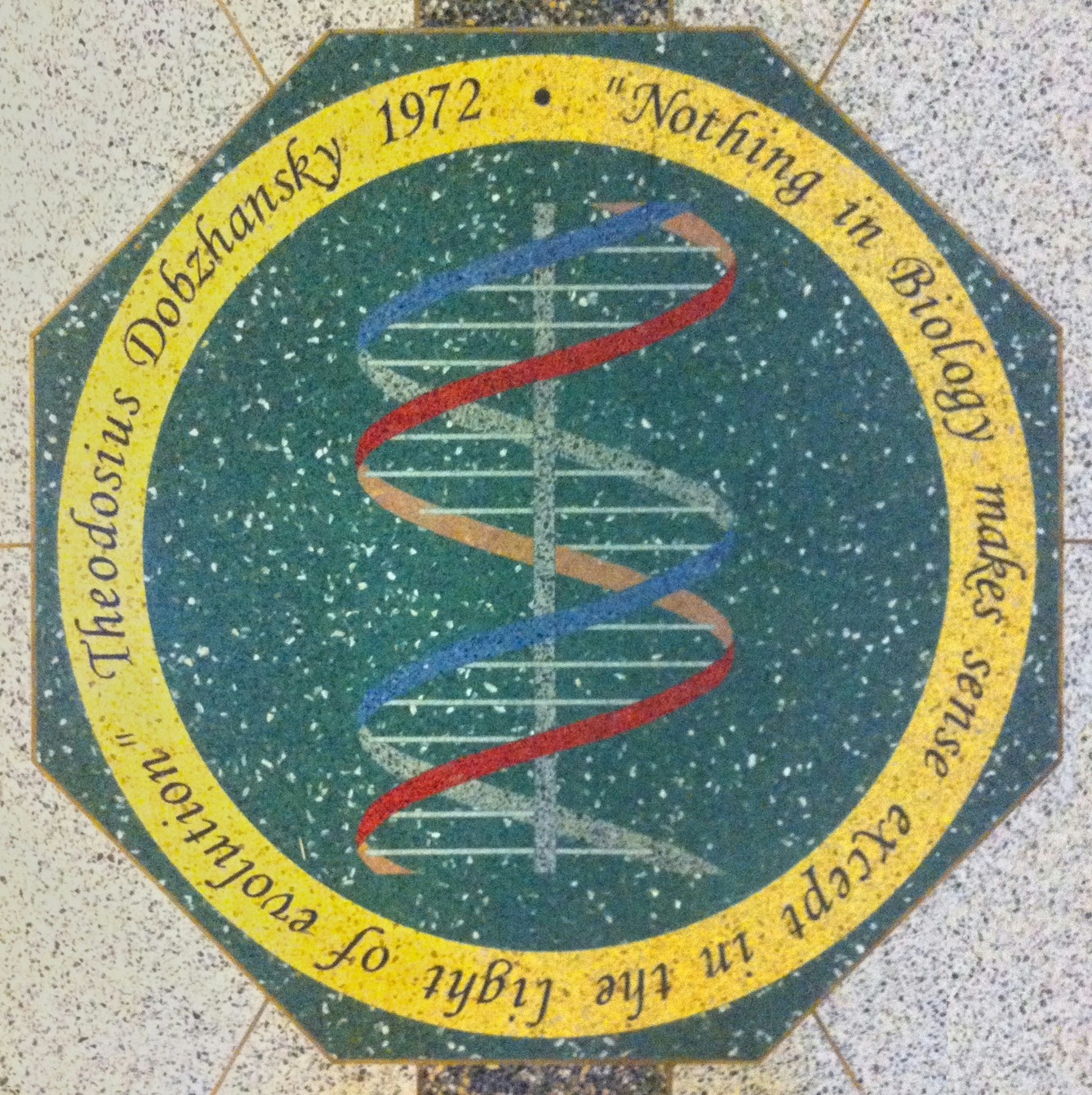 Mosaic medallion in the floor of the main hall of the Jordan Hall of Science, University of Notre Dame. Bears the quotation from Theodosius Dobzhansky (1900-1975): Nothing in Biology makes sense except in the light of evolution.