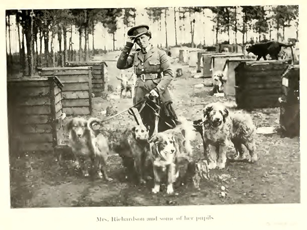 Black and white picture of a woman holding four dogs on leashes. Caption reads 'Mrs. Richardson and some of her pupils'