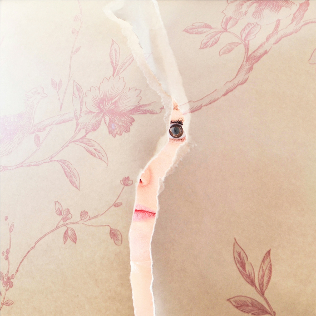 ‘Torn’ from my ‘Emerging’ series.