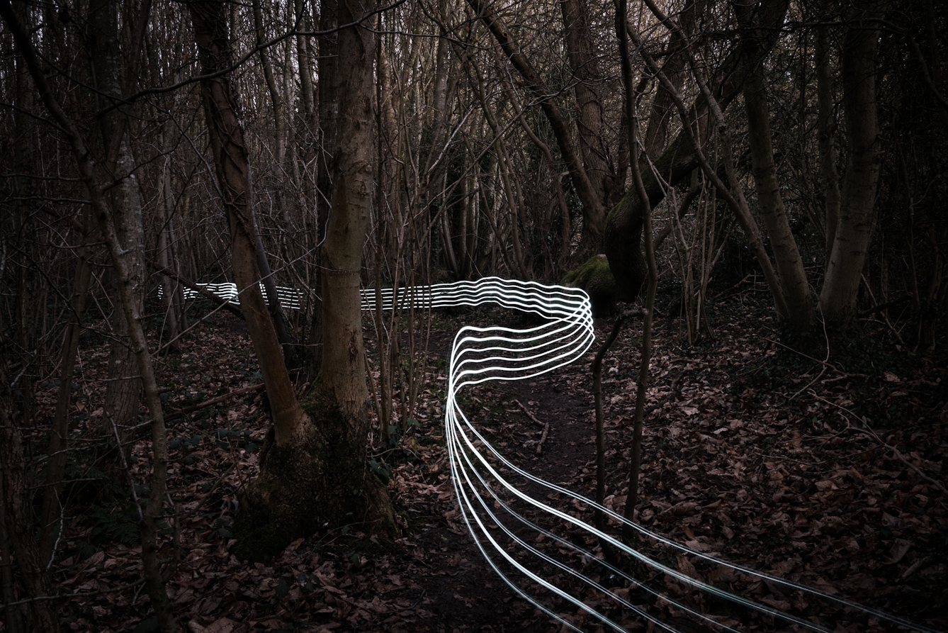 Photograph of a dark winter wooded scene with thin coppiced tree trunks rising from the ground. The earth is covered in rust coloured leaves. Through the trees a trail of 6 horizontal parallel white lines created with a light source snake through the scene, weaving in and out of the trees, sometimes following a footpath, sometimes not. Through the tree trunks in the distance, glimpses of a grey sky can be seen.