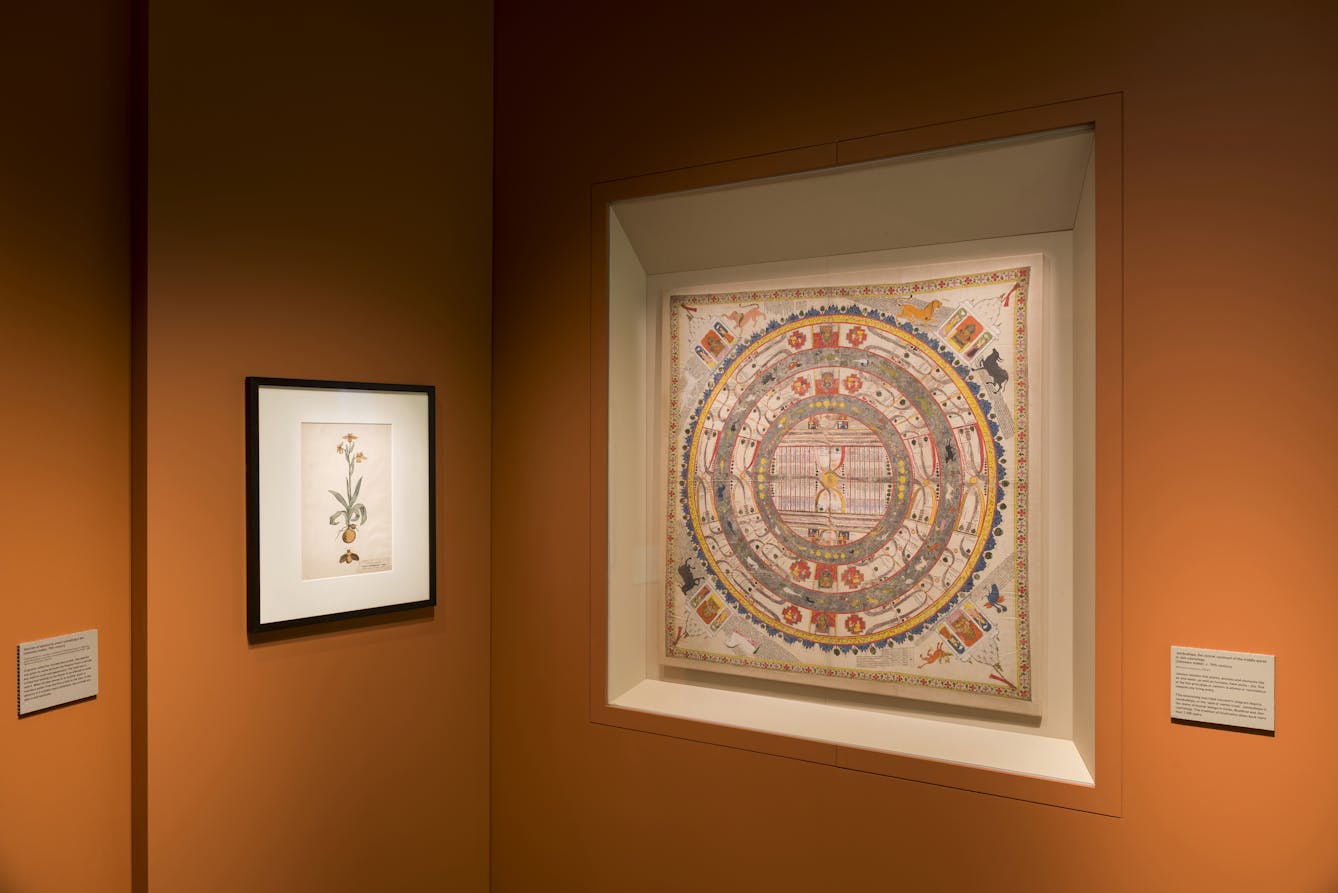 Photograph of the corner of a room showing a framed drawing of a bee orchid on the left and on the right a textile representation of Jambudvīpa, the continent of the Jambu trees from Jain cosmology, which is shown via images in concentric circles. 