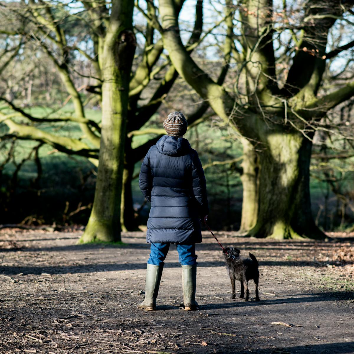 Photograph of a woman wearing a wooly hat, puffer coat and welly boots, standing with her back to the camera in wintery woodland setting. In her right hand she is holding a lead attached to a small black dog, also looking away from the camera. Low sunlight streaks through the trees from the left of frame.