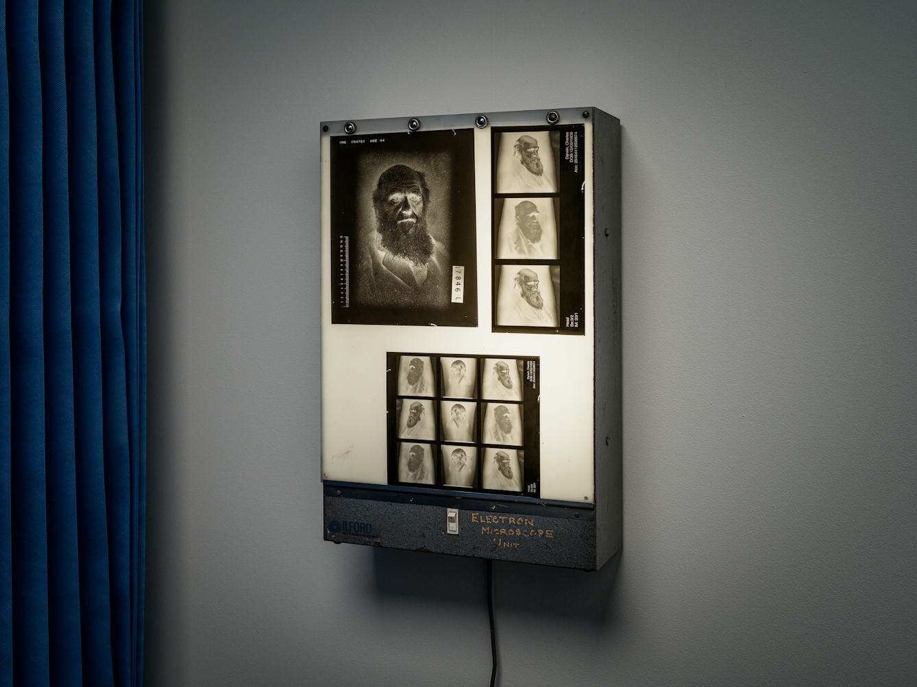 Photograph of an x-ray light box fixed to a white wall. Beside the light box in the edge of blue medical ward curtains. On the light box are several x-rays made up of the inverted portraits of Charles Darwin.