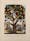 Colour lithograph depicting the tree of intemperance with fruit labelled with negative consequences of drinking including rags, hatred, despair, loss of self-respect and a bloated countenance.