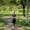 拍摄一个女人的全身肖像在外面的林地场景。她沿着一条粗糙的小路走向镜头，手指松松地紧握在一起。她往左边看。在她的左边是一系列的树干和周围的道路，背景是绿色的草和树叶的树木。