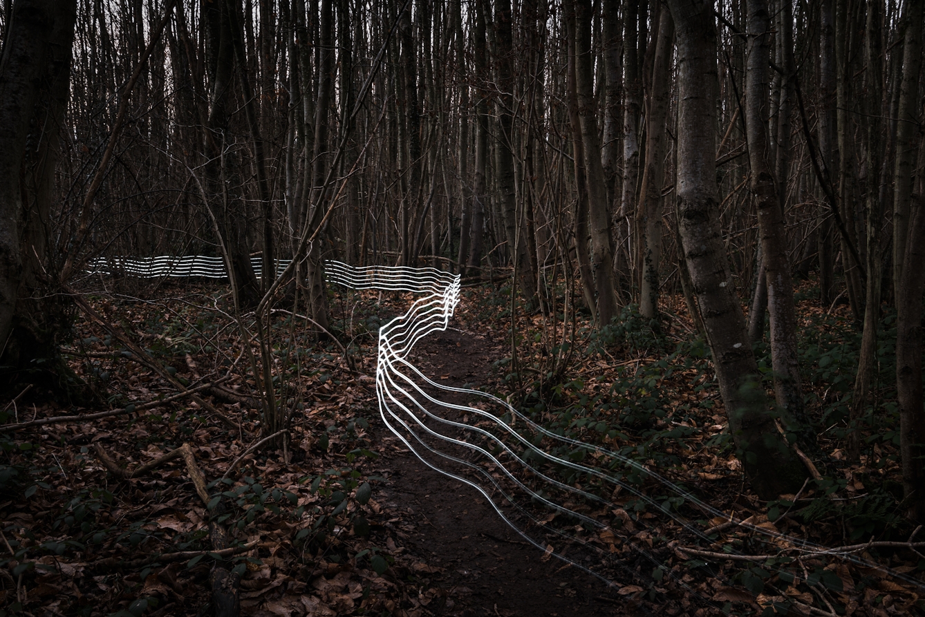 Photograph of a dark winter wooded scene with thin coppiced tree trunks rising from the ground. The earth is covered in rust coloured leaves. Through the trees a trail of 6 horizontal parallel white lines created with a light source snake through the scene, weaving in and out of the trees, sometimes following a footpath, sometimes not. Through the tree trunks in the distance, glimpses of a grey sky can be seen.